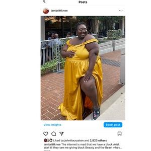 Size 5X Belle inspired dress